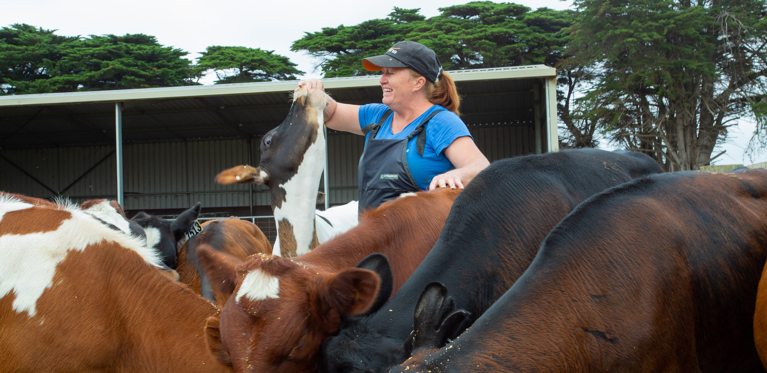 Marika Austin working with cattle