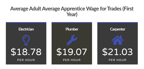 adult apprenticeship wages
