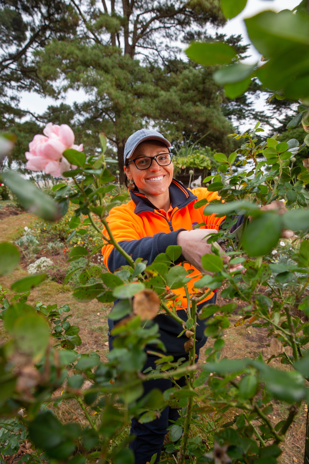 Stephanie tending to a rose garden