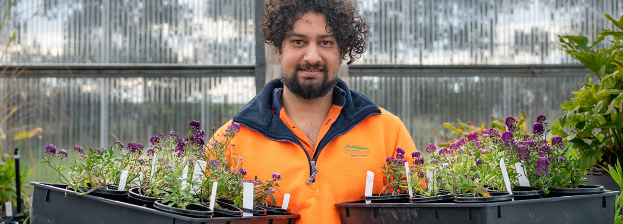 Ozzie Colley studied Certificate III in Parks and Gardens at South West TAFE.